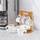 Jujoybd Espressotassen Set
