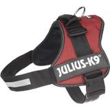 Julius K-9 Powergeschirr 2