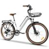 Kaisda Electric Bike