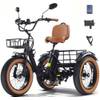 Kakigo Z139