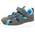 Kangaroos Ki-Rock Lite