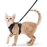 Katzengeschirr