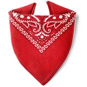 Karl Loven Bandana