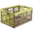 keeeper Stabile Profi-Klappbox