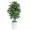 Keeplush Kunstpflanze Dracaena