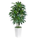Keeplush Kunstpflanze Dracaena