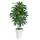 Keeplush Kunstpflanze Dracaena
