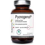 Kenay Pycnogenol Pinienrindenextrakt