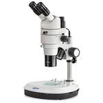 Kern-Mikroskop