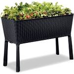 Keter Easy Grow modernes Hochbeet