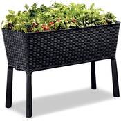 Keter Easy Grow modernes Hochbeet Vergleich