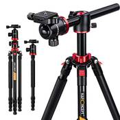 K&F Concept TM2534T Vergleich