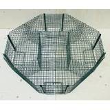 Kieferle Elsternfalle