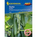 Gurken-Samen