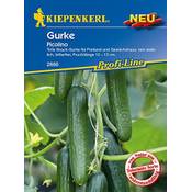 Kiepenkerl 2666 Vergleich