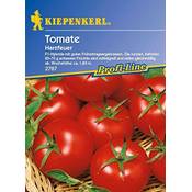 Kiepenkerl 2787 Vergleich