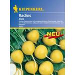 Kiepenkerl Gelbes Radieschen Zlata