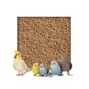 Kieskönig Buchenholzgranulat Vogelsand Vergleich