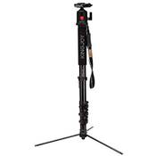Kingjoy MP408FL Vergleich