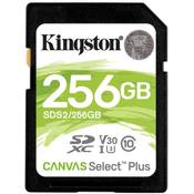 Kingston Canvas Select Plus SDS2/256GB Vergleich