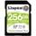 Kingston Canvas Select Plus SDS2/256GB