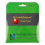 Kirschbaum Pro Line Evolution 12 m