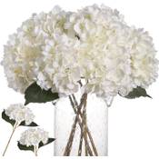Kisflower Hortensie Vergleich