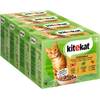 Kitekat Multipack Jagdschmaus in Sauce