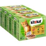 Kitekat Multipack Jagdschmaus in Sauce