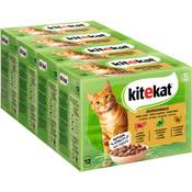 Kitekat Multipack Jagdschmaus in Sauce