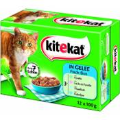 Kitekat Fisch-Box in Gelee