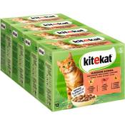 Kitekat Klassische Auswahl in Gelee