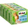 Kitekat Multipack Fisch-Box in Gelee