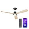 Klarstein Fiji Flow Deckenventilator
