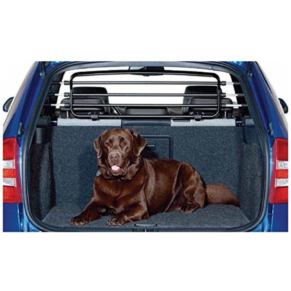 Hundegitter Auto Test