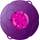 Kochblume  L-29-10