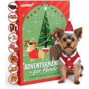 Kodipets Adventskalender (2025)