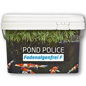 Koi Company Faden-Algenfrei