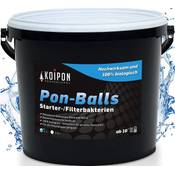 Koipon Pon-Balls Starterbakterien