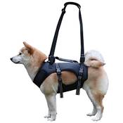 Kokoie Tragehilfe-Hund Vergleich