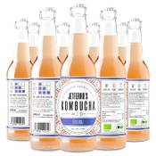 Jetfero’s Kombucha Vergleich