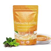 Kombuchic Kombucha Scoby Starter-Set