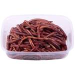 Wurmwelten.de Kompostwürmer