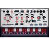 Korg Synthesizer