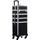 Kosmetikkoffer Trolley Schminkkoffer , 4-in-1 (leer)