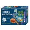 Science4you Urzeitkrebse