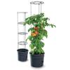 Kotarbau Tomatenturm