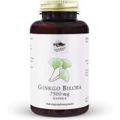 Kräuterhandel Sankt Anton Ginkgo Biloba 7.500