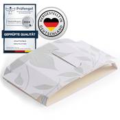 Kraftkönig Silberfischfalle