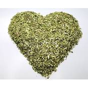 Krauterino24 Helmkraut Baical